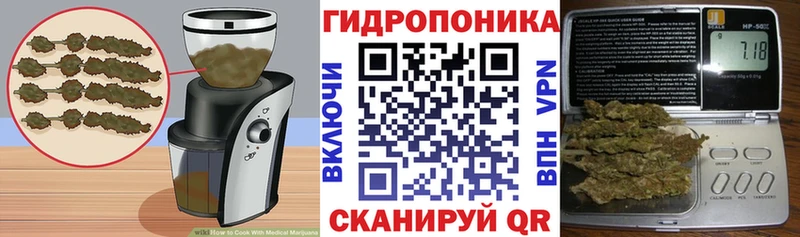 блэк спрут tor  Топки  Cannafood марихуана 