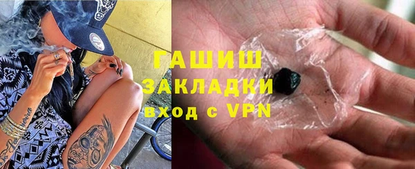 стаф Алзамай