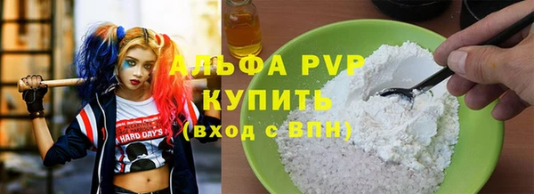 стаф Алзамай