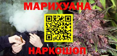 мдпв Гатчина