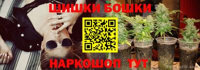 амф Гай