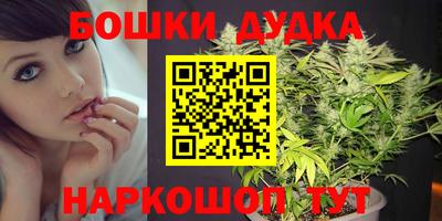 мдпв Гатчина