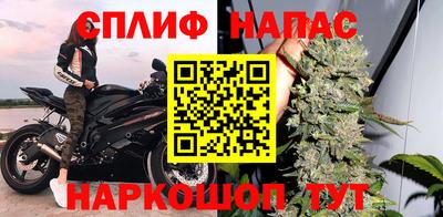 амф Гай
