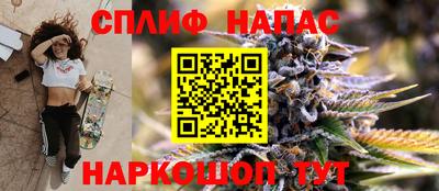 мдпв Гатчина