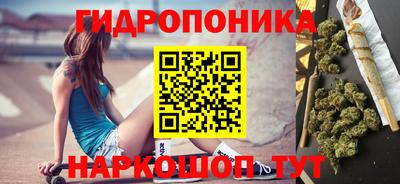 амф Гай
