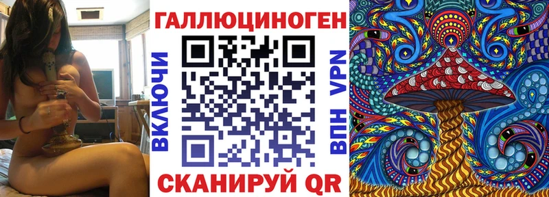 Псилоцибиновые грибы MAGIC MUSHROOMS  купить наркоту  Топки 