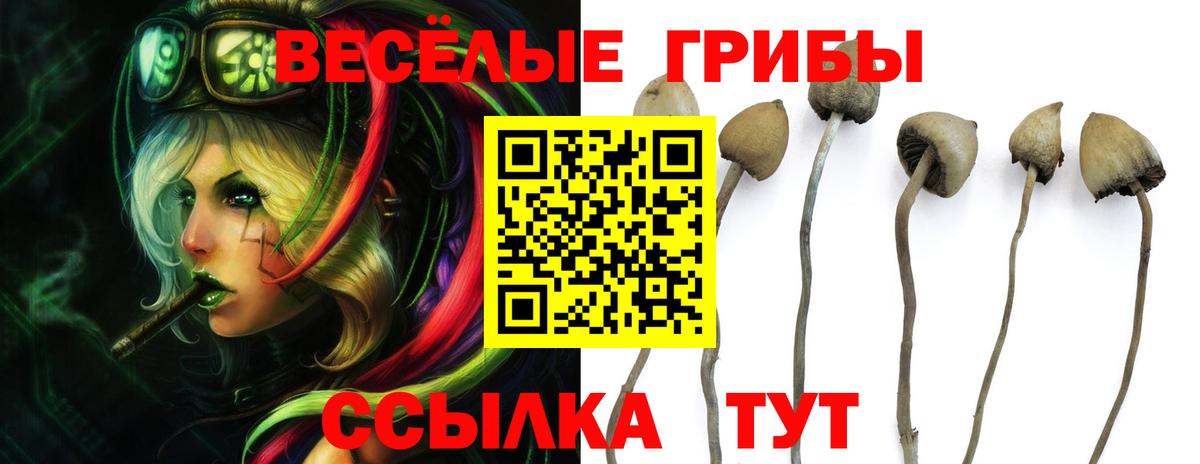 Галлюциногенные грибы прущие грибы  Галлюциногенные грибы Cubensis  наркошоп  Топки  Вход с VPN 
